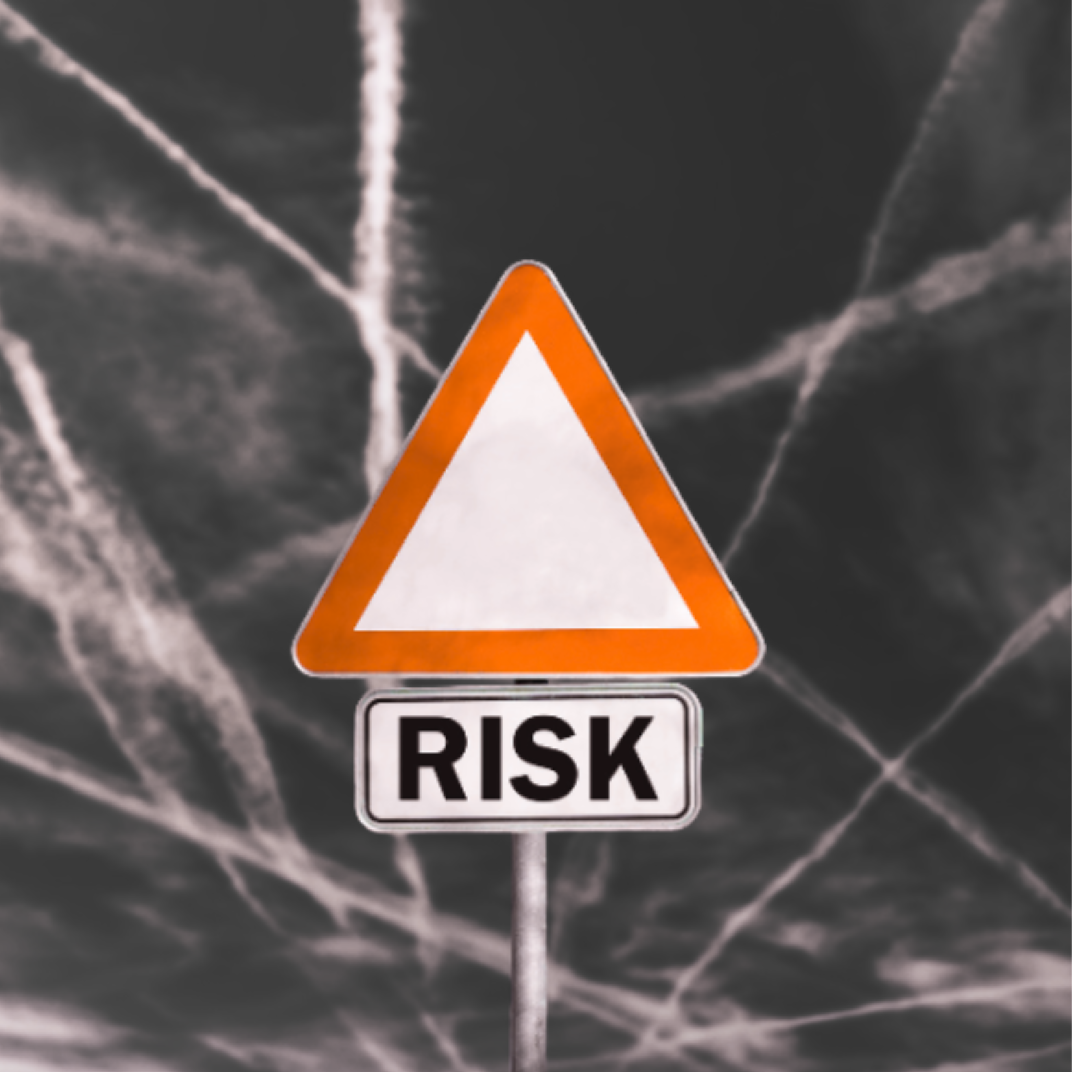 Risk Mitigation